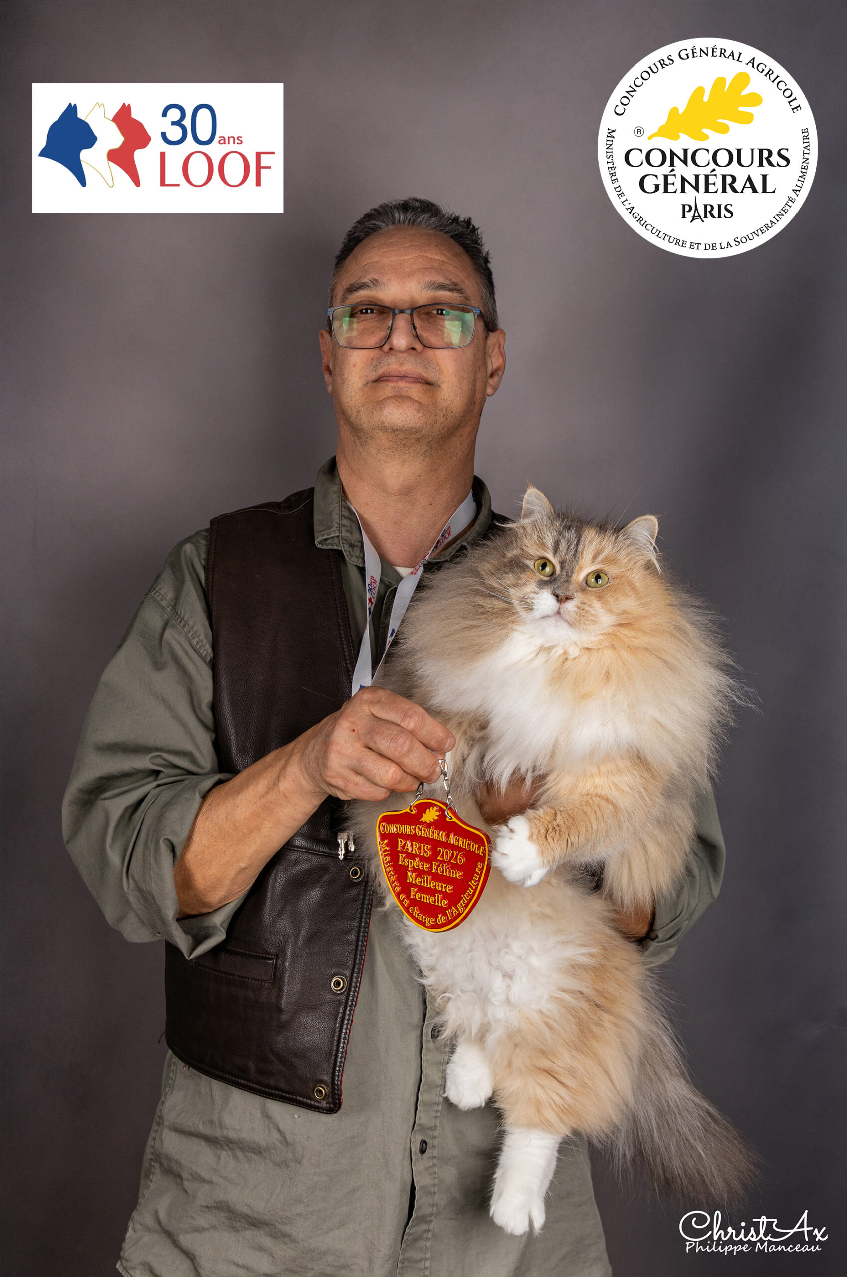 elevage chat sibérien toulouse pau paris bordeaux tarbes albi lyon montpellier montauban